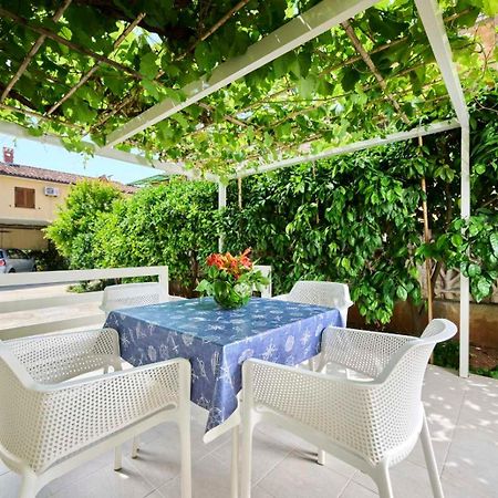 Apartman Ema Novigrad  Exterior photo